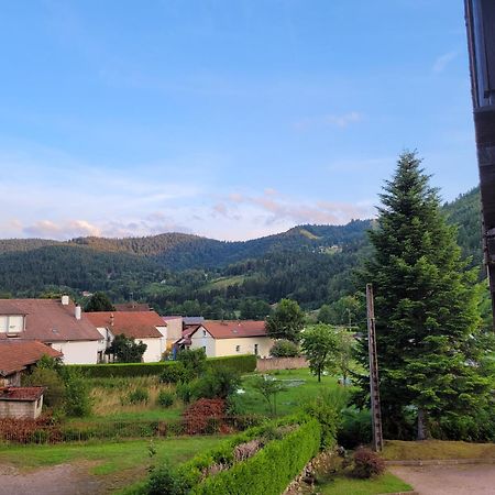 Appartement Chaleureux Au Coeur Des Hautes Vosges Ventron Ngoại thất bức ảnh