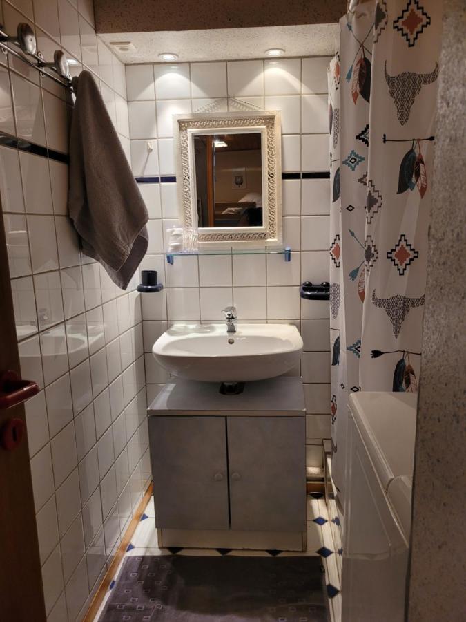 Appartement Chaleureux Au Coeur Des Hautes Vosges Ventron Ngoại thất bức ảnh