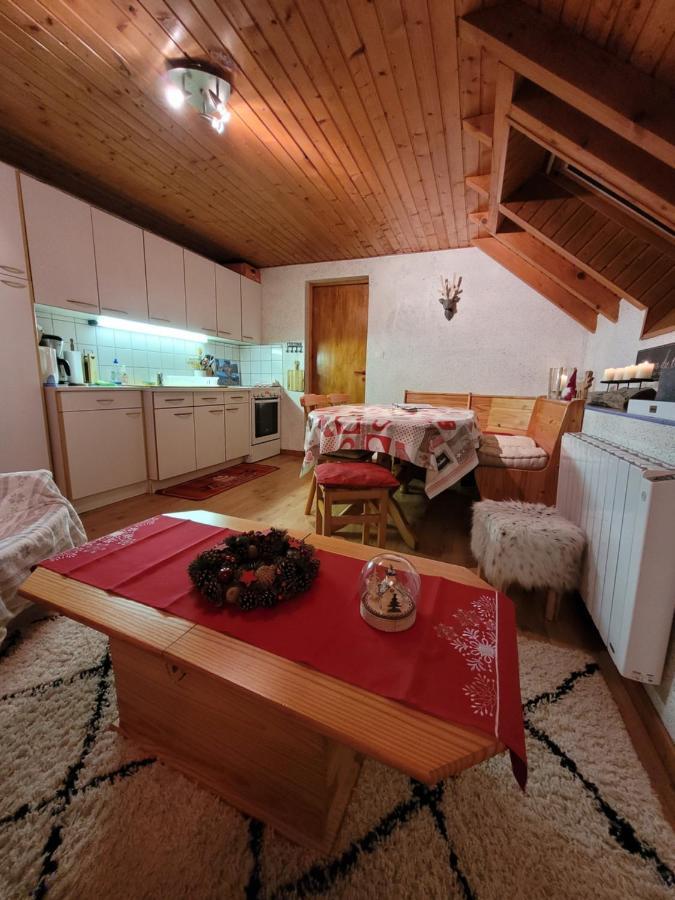 Appartement Chaleureux Au Coeur Des Hautes Vosges Ventron Ngoại thất bức ảnh