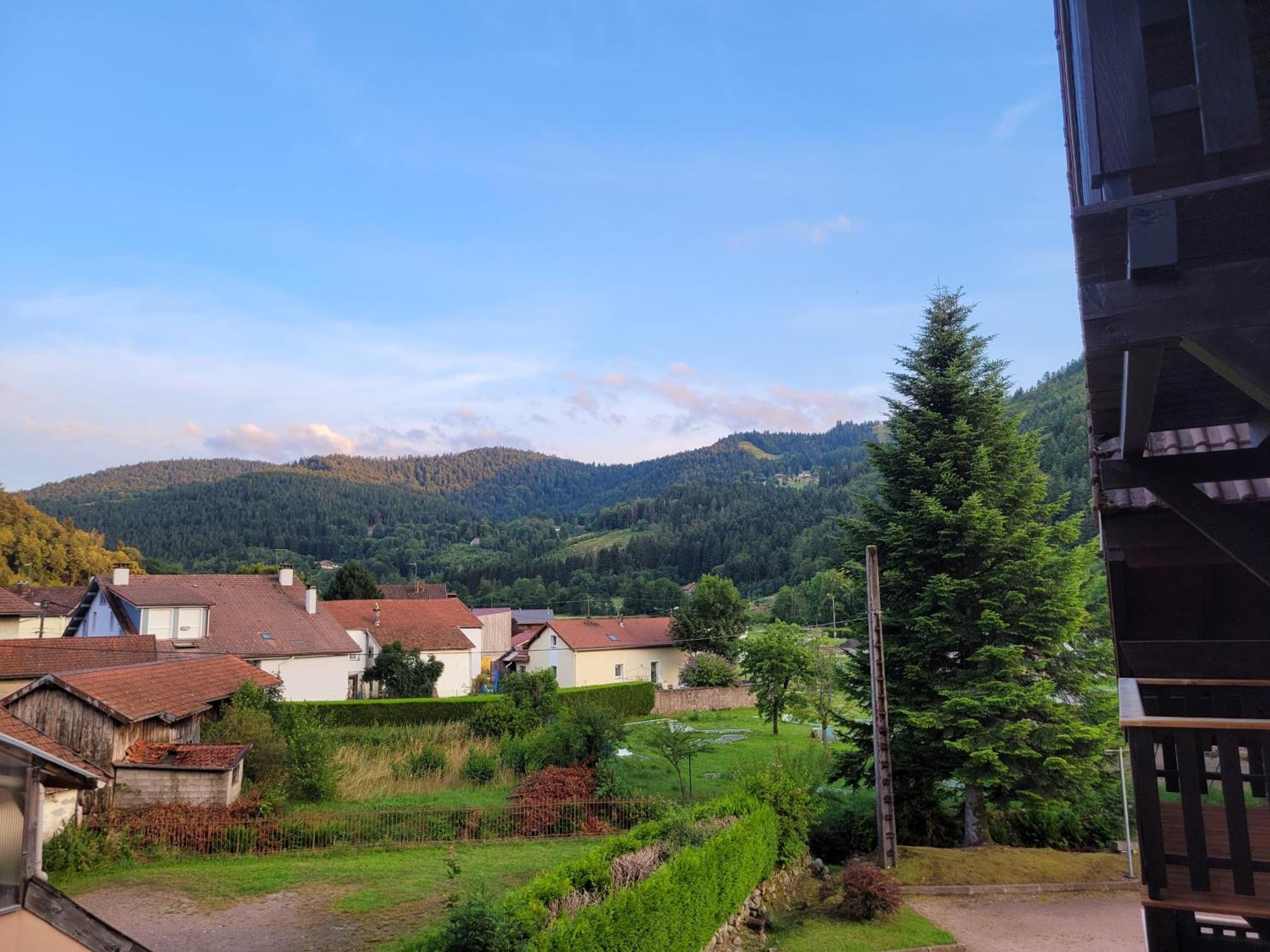 Appartement Chaleureux Au Coeur Des Hautes Vosges Ventron Ngoại thất bức ảnh